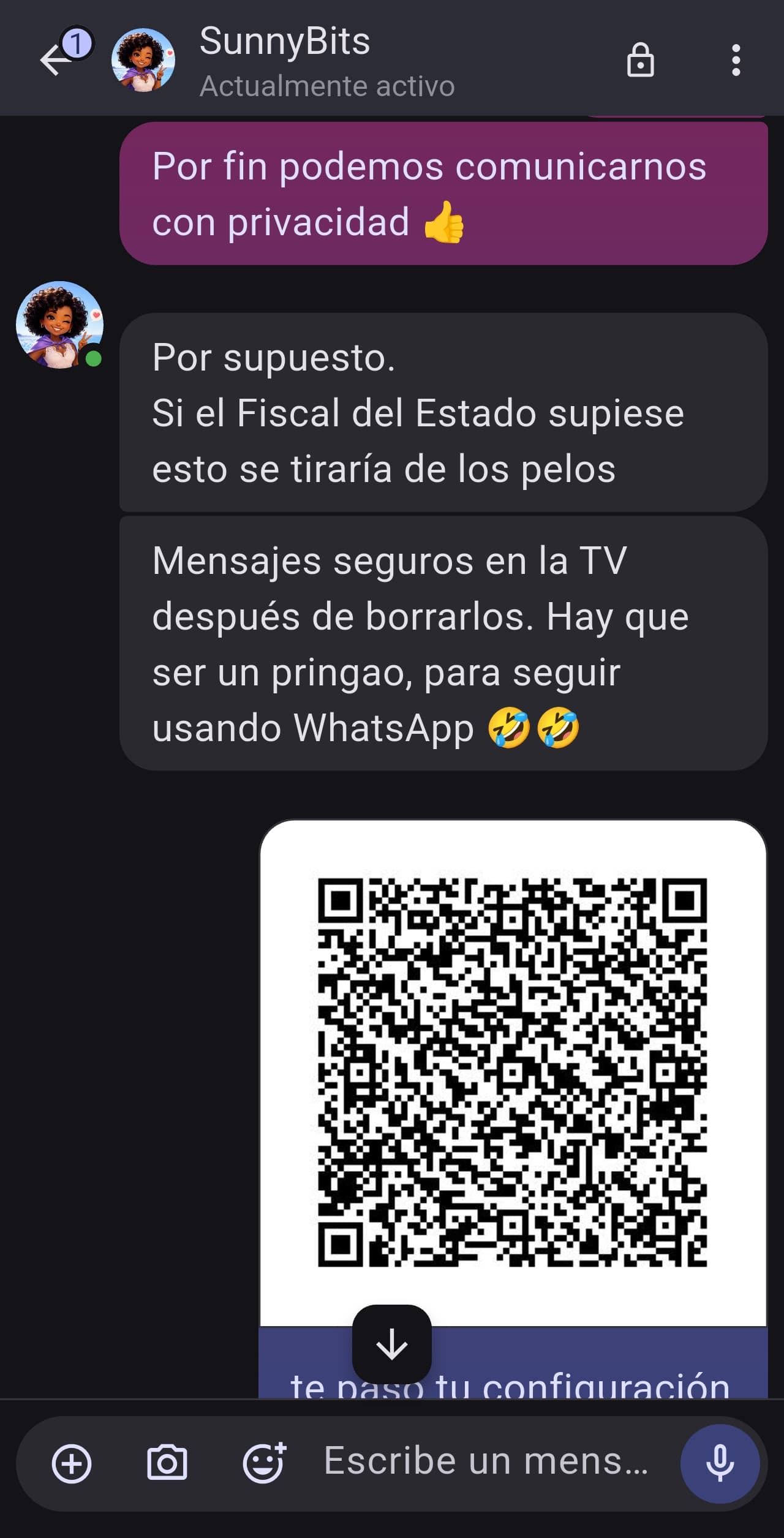 Chats cifrados